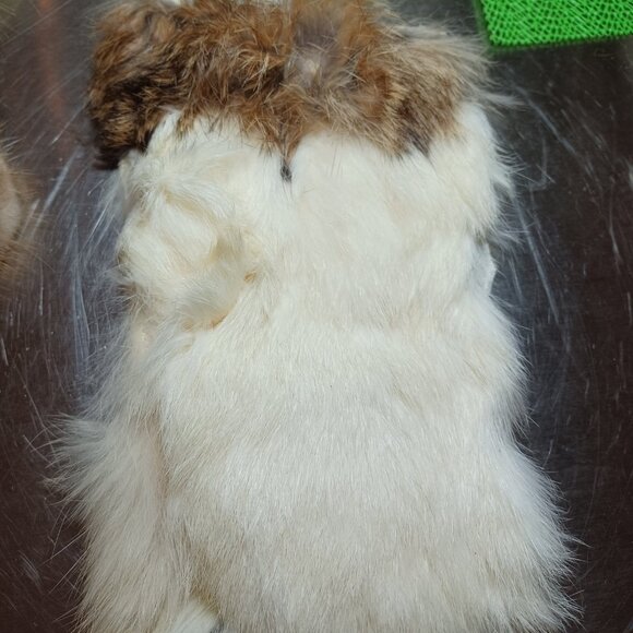 Box of FUR - pieces & scraps - Picture 12 of 13